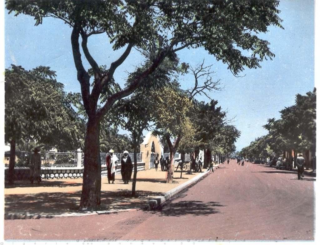 LE TELAGH LE JARDIN PUBLIC ET SES ABORDS.JPG